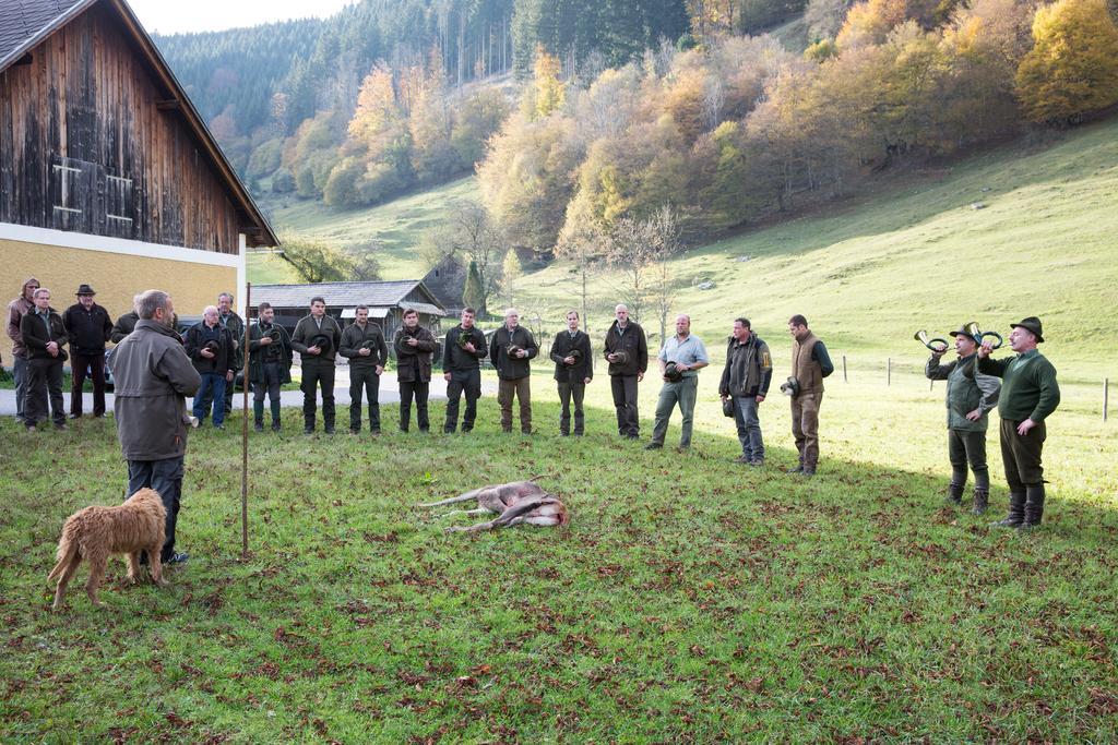 Hirschloser Steyrling Екстер'єр фото